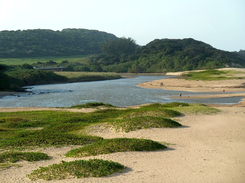The Ohlanga River at the Umhlanga Lagoon Nature Reserve